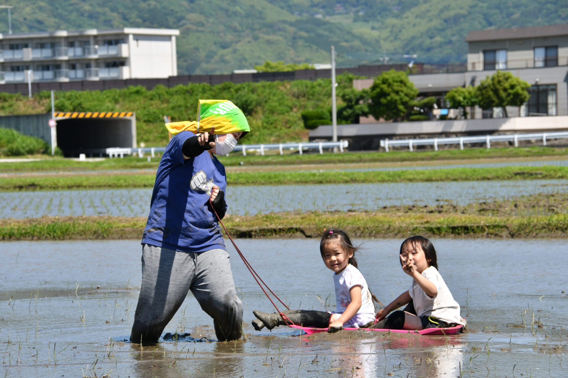 教育的取り組み