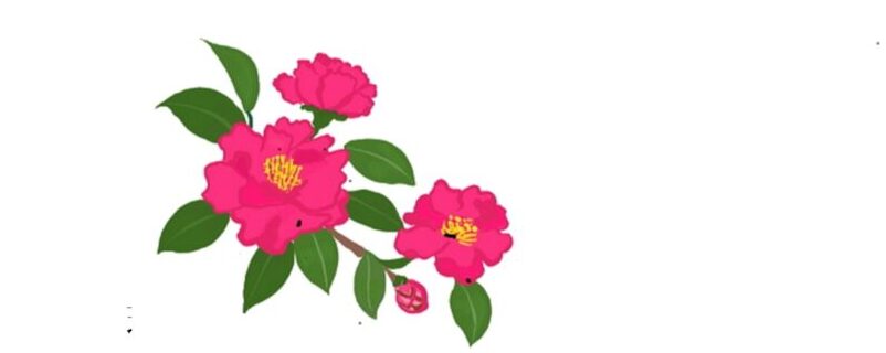 社会福祉法人さざんか会