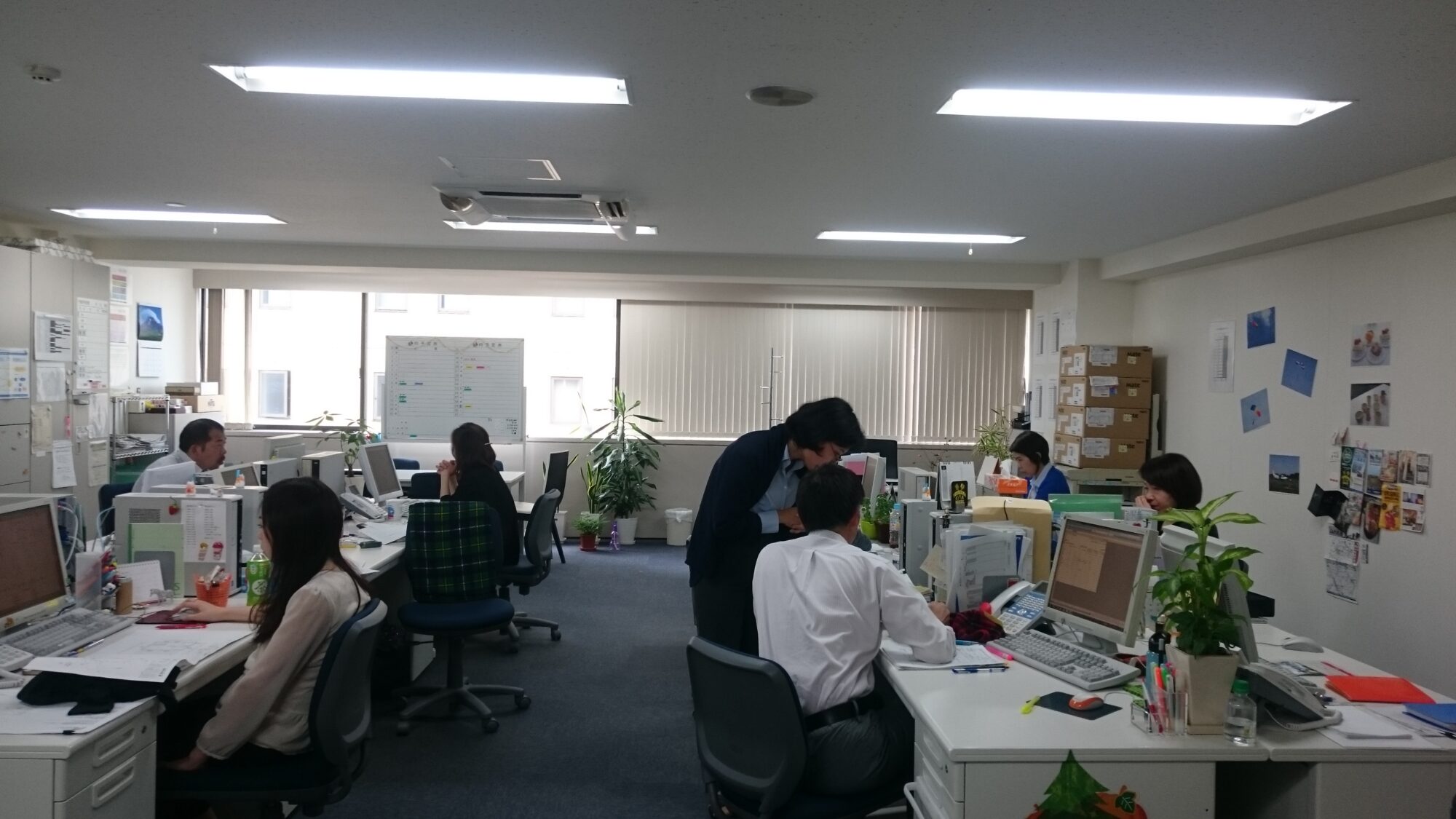 建築士【新卒】