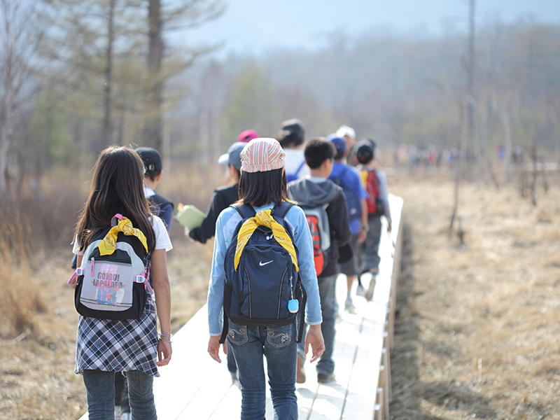 都内小学校の移動教室・林間学校をメインに取り扱っておりますのイメージ画像