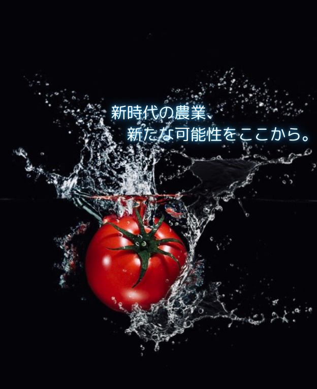 挑戦の場はここに。